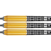 Raymond van Barneveld Gen.2 RVB 95%